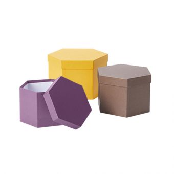 Meaningful Earth Hexagonal Hat Boxes