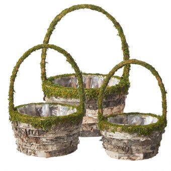 Mossy Trail Lined Basket